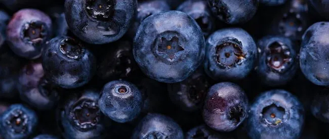 Superalimentos: ¿Por Qué Este Supera Al Arándano En Beneficios Para La Salud? Superalimentos: ¿Por Qué Este Supera Al Arándano En Beneficios Para La Salud?