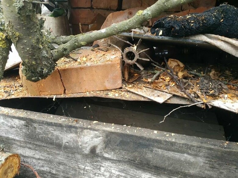 Свадебный Рекорд Харьковщины: Почти 40 Пар Поженились [дата] (фото)