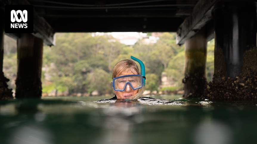 Sydney Harbour Surveillance Heightened Amidst Rise In Chinese Ship Sightings Sydney Harbour Surveillance Heightened Amidst Rise In Chinese Ship Sightings