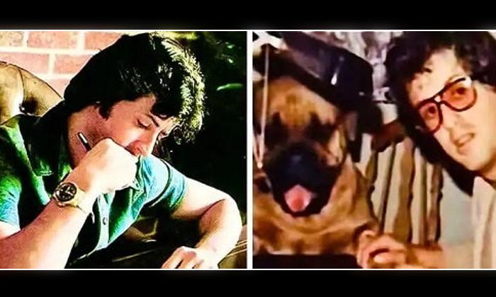 Sylvester Stallone Și Rocky: O Privirre Asupra Veniturilor Sylvester Stallone Și Rocky: O Privirre Asupra Veniturilor