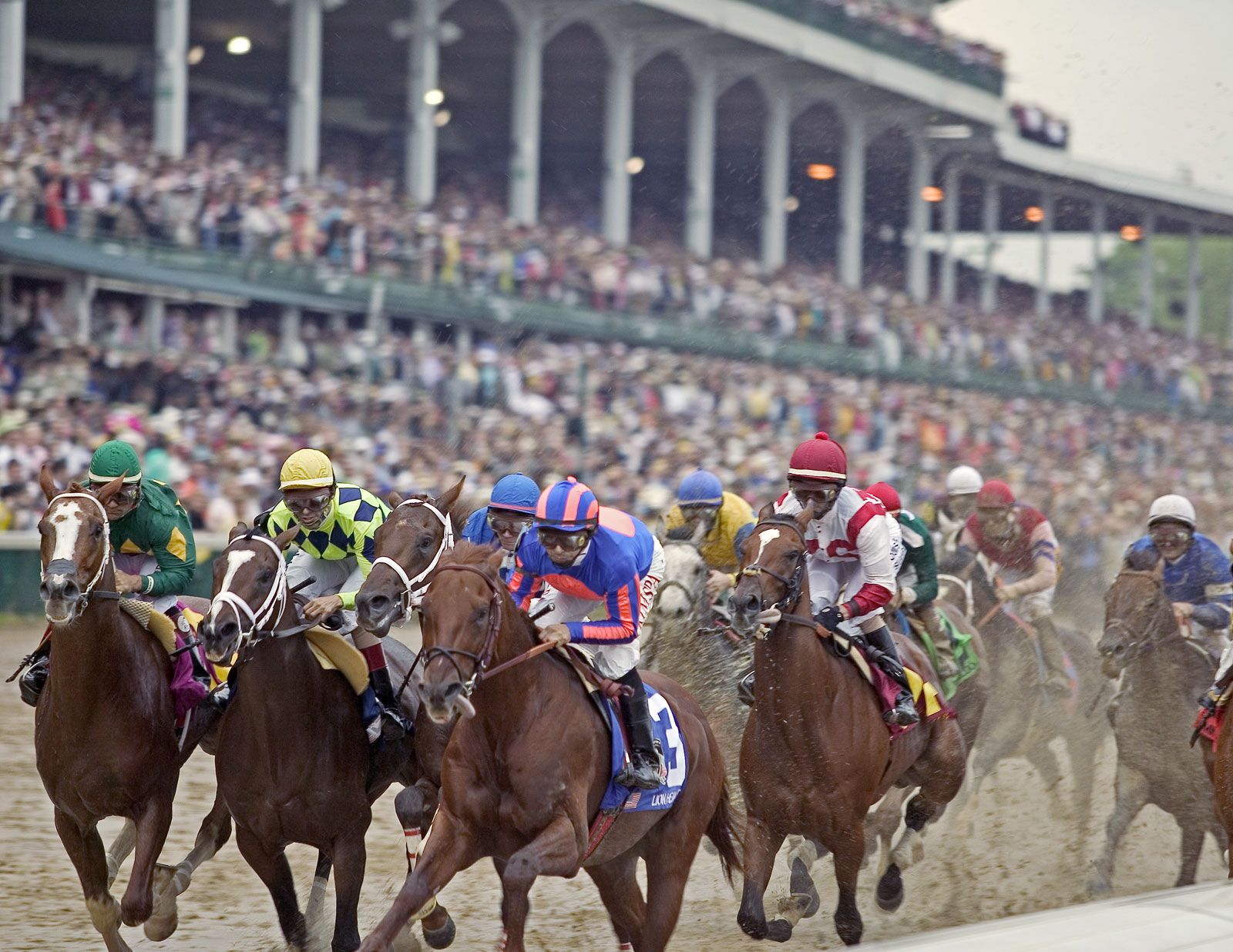Tampa Bay Derby Odds 2025: Predicting The Winners And Their Road To Kentucky Tampa Bay Derby Odds 2025: Predicting The Winners And Their Road To Kentucky