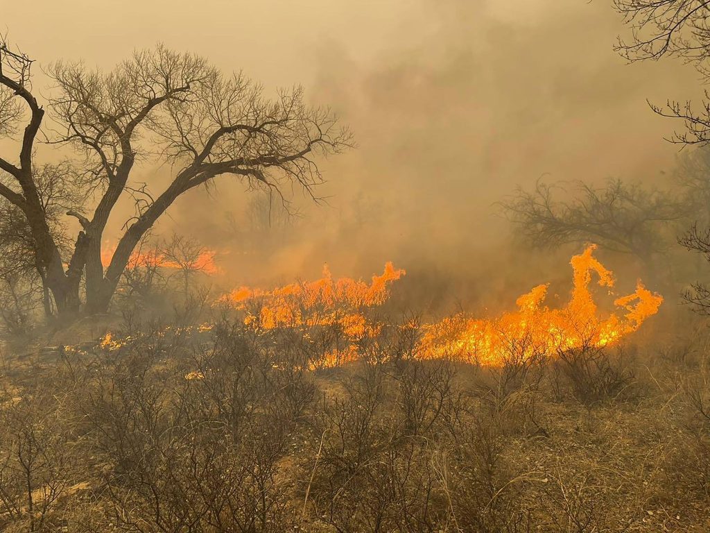Texas Panhandle Wildfire: A Year Of Recovery And Renewal Texas Panhandle Wildfire: A Year Of Recovery And Renewal