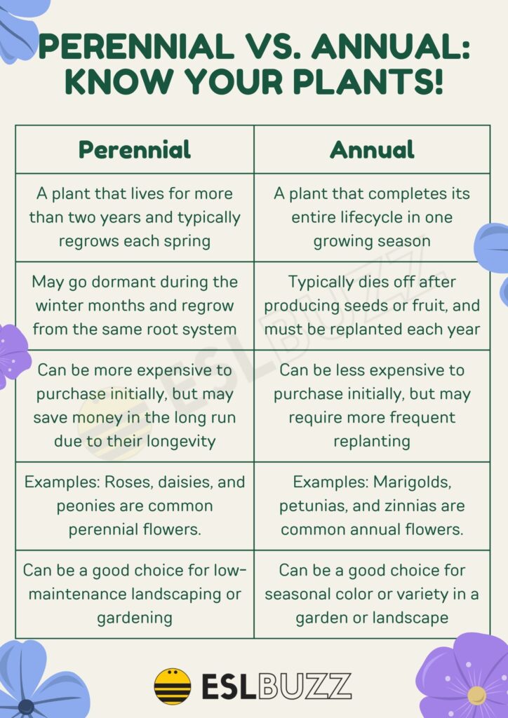The Annual Vs. Perennial Debate: Which Flowers Should You Plant?