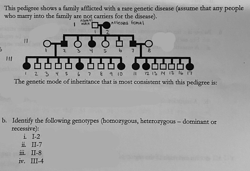 The Blanchard Family And The Inheritance Of A Rare Genetic Disease The Blanchard Family And The Inheritance Of A Rare Genetic Disease
