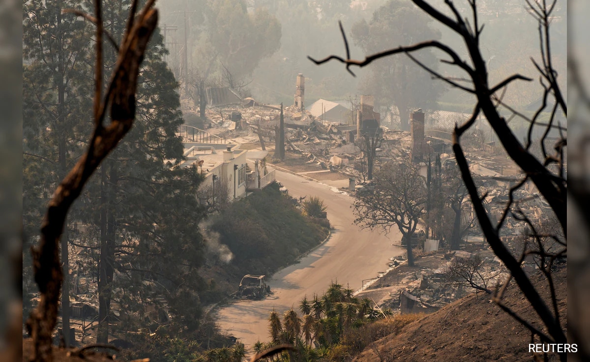 The Dark Side Of Disaster: Examining The Market For Los Angeles Wildfire Bets The Dark Side Of Disaster: Examining The Market For Los Angeles Wildfire Bets