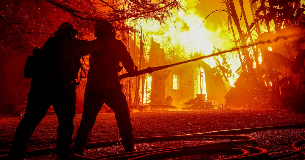 The Dark Side Of Disaster: Exploring The Trend Of Betting On The Los Angeles Wildfires The Dark Side Of Disaster: Exploring The Trend Of Betting On The Los Angeles Wildfires