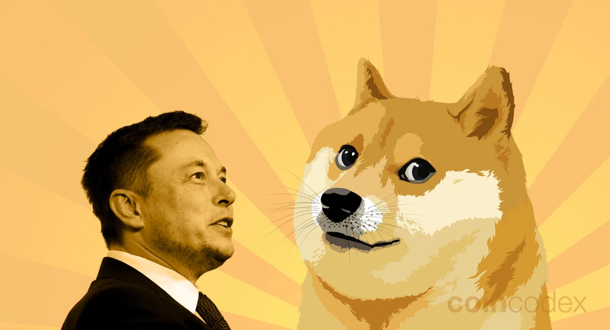 The Future Of Dogecoin: Is Elon Musk Really Selling Out? The Future Of Dogecoin: Is Elon Musk Really Selling Out?