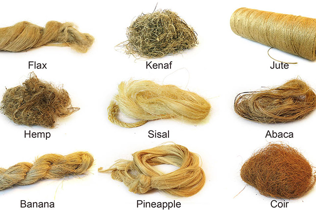 The Future Of Natural Fiber Composites: A Global Market Forecast To 2029 The Future Of Natural Fiber Composites: A Global Market Forecast To 2029