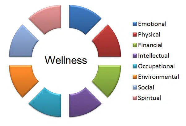 The Good Life: A Holistic Approach To Well-being The Good Life: A Holistic Approach To Well-being
