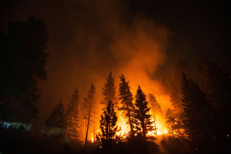 The Growing Trend Of Betting On The Los Angeles Wildfires The Growing Trend Of Betting On The Los Angeles Wildfires