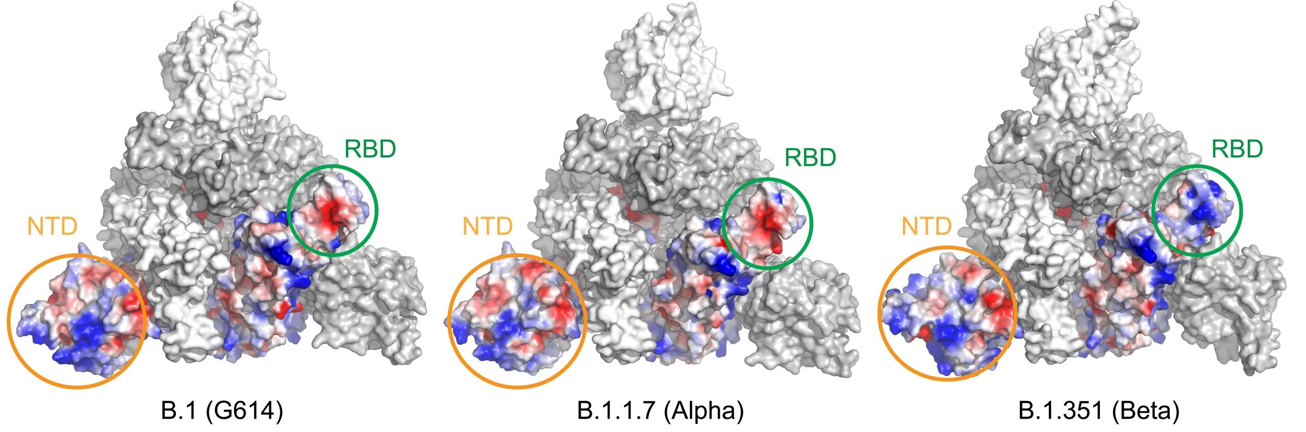 The Impact Of A Newly Identified COVID-19 Variant On Global Infection Rates The Impact Of A Newly Identified COVID-19 Variant On Global Infection Rates