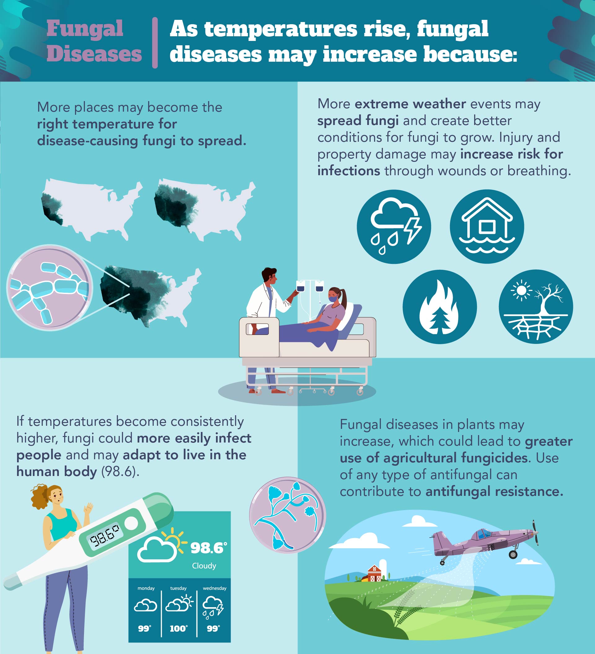 The Impact Of Climate Change On The Spread Of Internal Fungal Infections The Impact Of Climate Change On The Spread Of Internal Fungal Infections