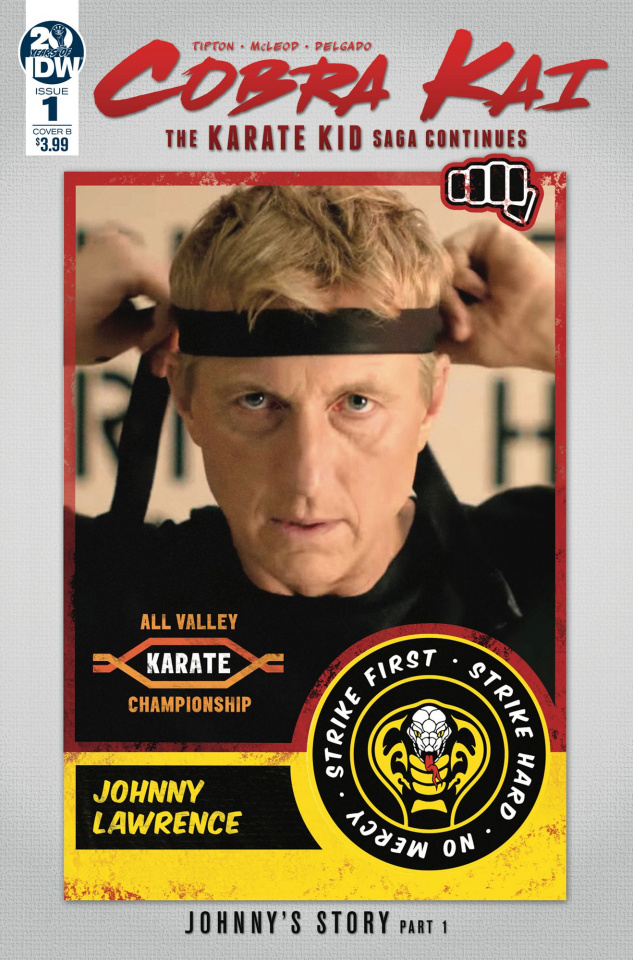 The Karate Kid's Lasting Impact: How Cobra Kai Continues The Story The Karate Kid's Lasting Impact: How Cobra Kai Continues The Story
