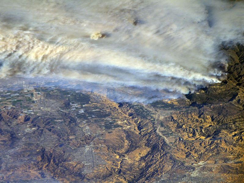 The Los Angeles Wildfires And The Growing Trend Of Betting On Natural Disasters The Los Angeles Wildfires And The Growing Trend Of Betting On Natural Disasters