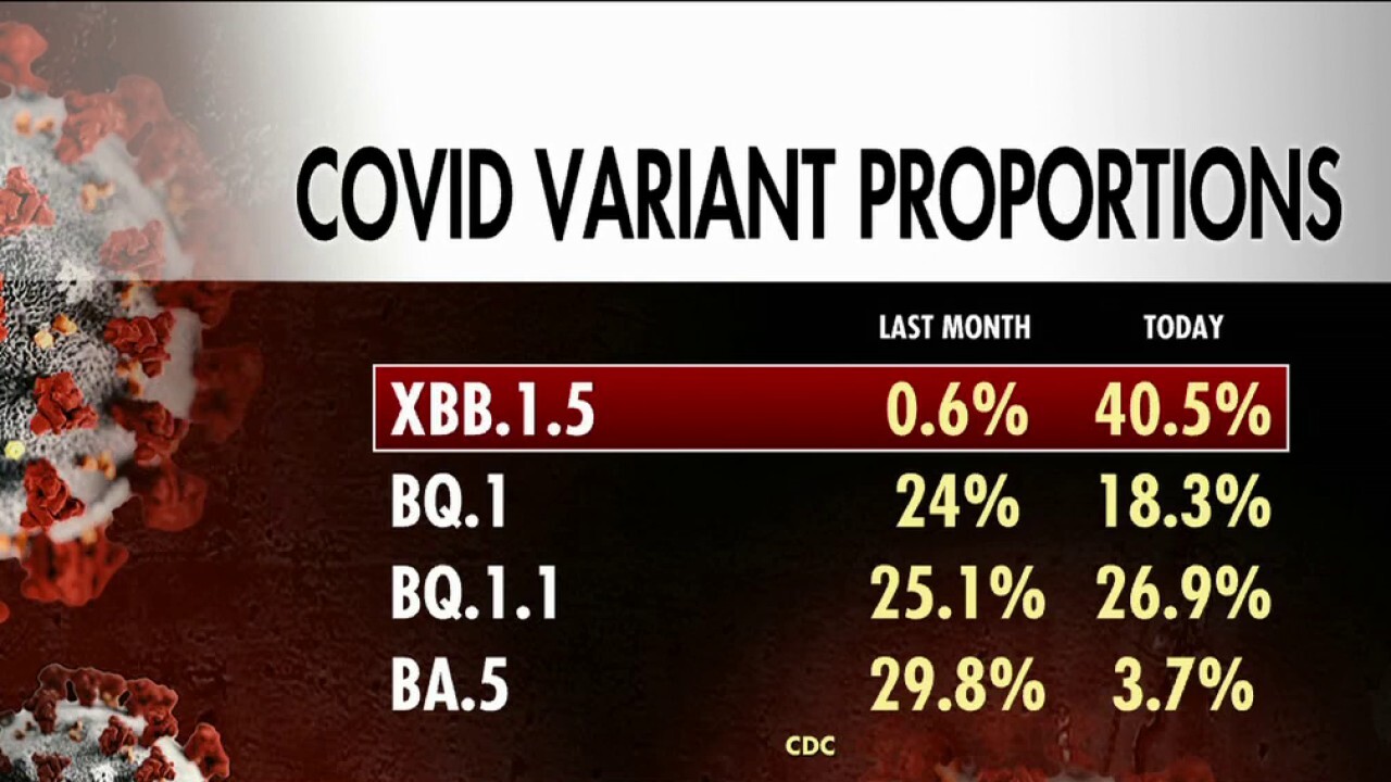 The New COVID-19 Variant LP.8.1: A Comprehensive Guide The New COVID-19 Variant LP.8.1: A Comprehensive Guide