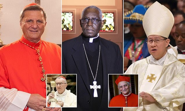 The Next Pope: Analyzing Nine Leading Contenders For The Papacy The Next Pope: Analyzing Nine Leading Contenders For The Papacy