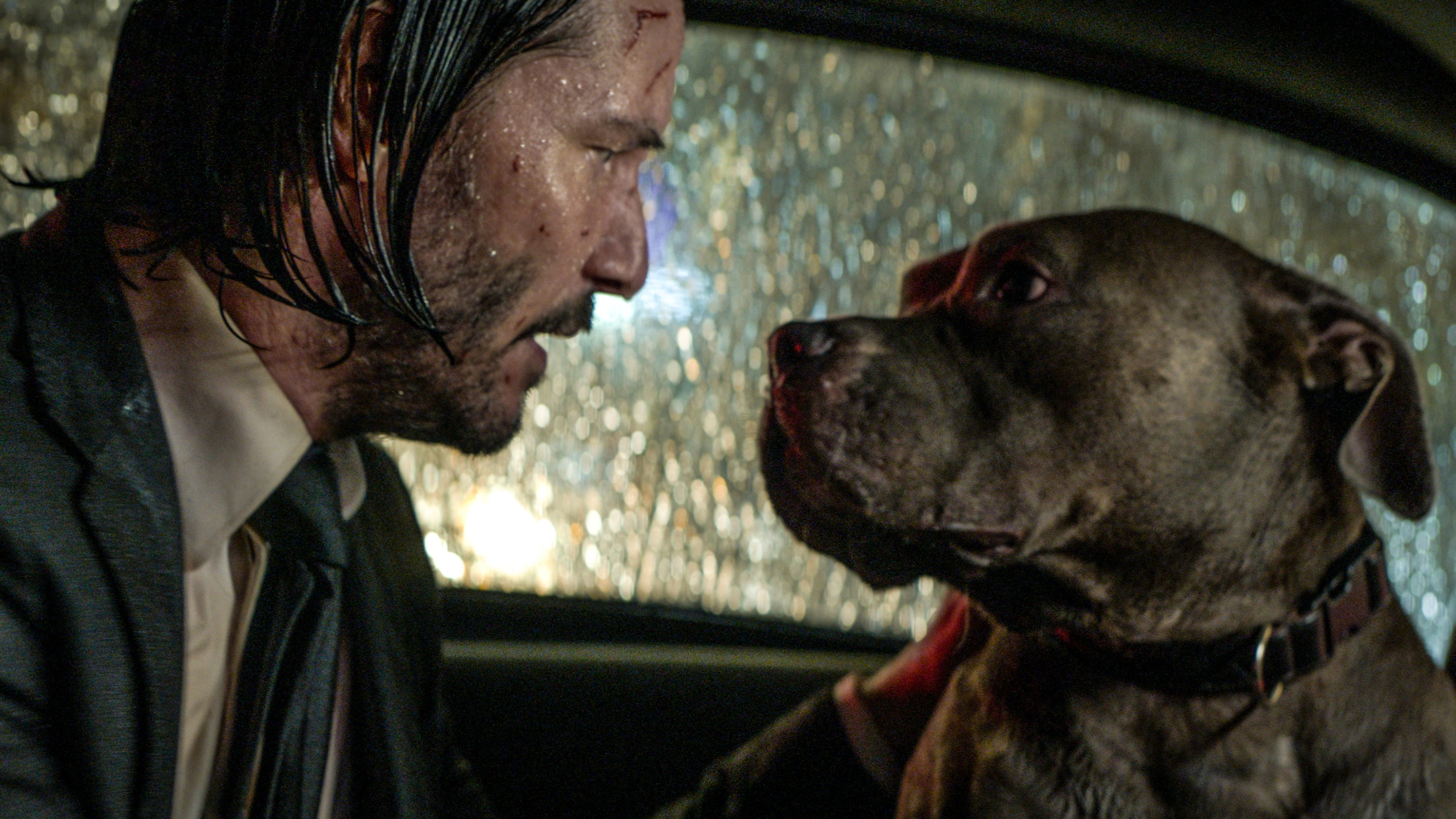The Real John Wick: A Single Appearance In The Keanu Reeves Franchise? The Real John Wick: A Single Appearance In The Keanu Reeves Franchise?
