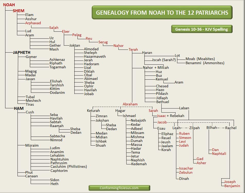 The Trump Family: A Complete Genealogy Chart The Trump Family: A Complete Genealogy Chart