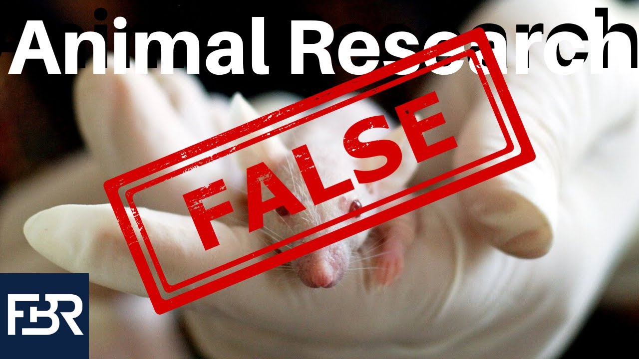 The Truth About US Funding In Transgender Animal Research Studies The Truth About US Funding In Transgender Animal Research Studies