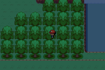 The Ultimate Pokemon Ash Gray Walkthrough And Strategy Guide The Ultimate Pokemon Ash Gray Walkthrough And Strategy Guide