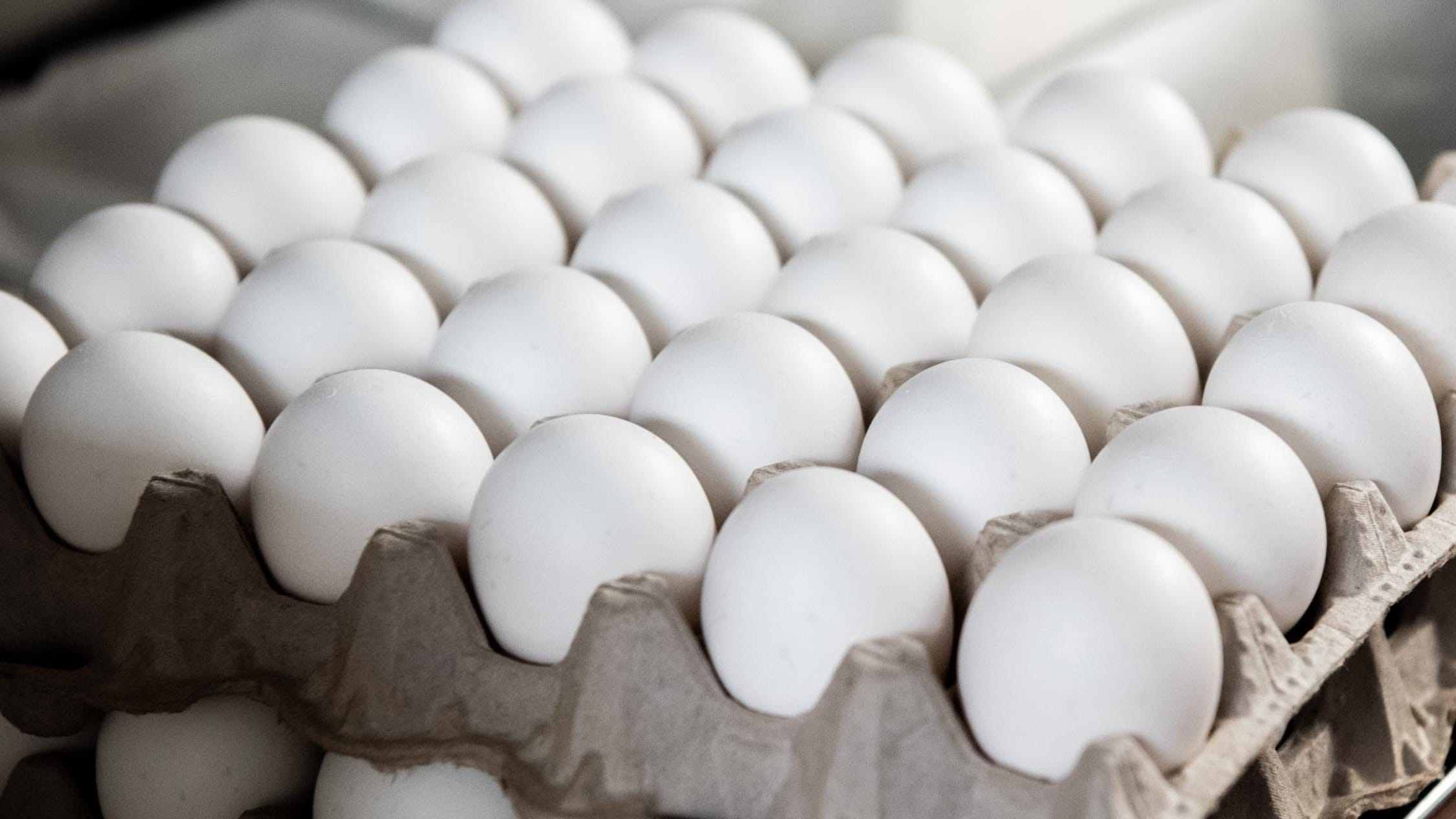 The Unexpected Reality Of Trump's Egg Price Statement The Unexpected Reality Of Trump's Egg Price Statement