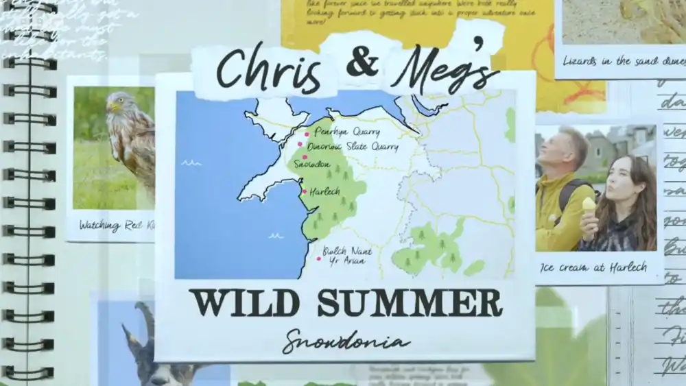 Their Wild Summer: Chris And Meg's Story Their Wild Summer: Chris And Meg's Story