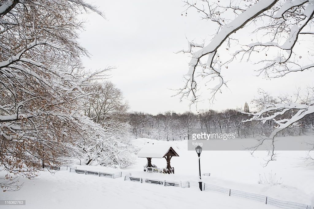 Top 10 Winterwatch Locations In [Region/Country]