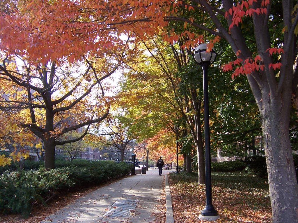 Top College Towns In Michigan: Why [City Name] Stands Out