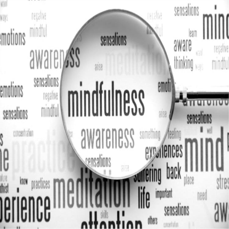 Top Mental Health Courses In India: Government-Sponsored Programs From IGNOU, TISS, NIMHANS Top Mental Health Courses In India: Government-Sponsored Programs From IGNOU, TISS, NIMHANS