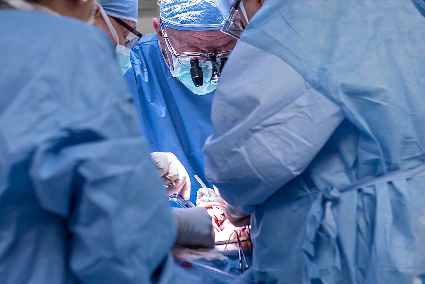 Transgender Women And Childbearing: A Children's Hospital Community Activist's Perspective On Uterine Transplants Transgender Women And Childbearing: A Children's Hospital Community Activist's Perspective On Uterine Transplants