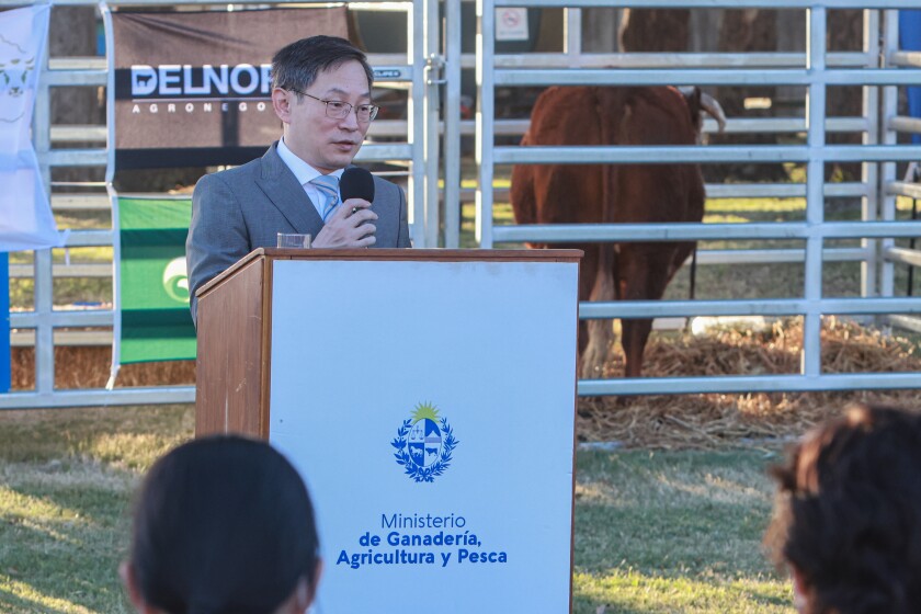 Tres Toros Rumbo A China: Un Regalo Del Presidente De Uruguay A Xi Jinping Tres Toros Rumbo A China: Un Regalo Del Presidente De Uruguay A Xi Jinping