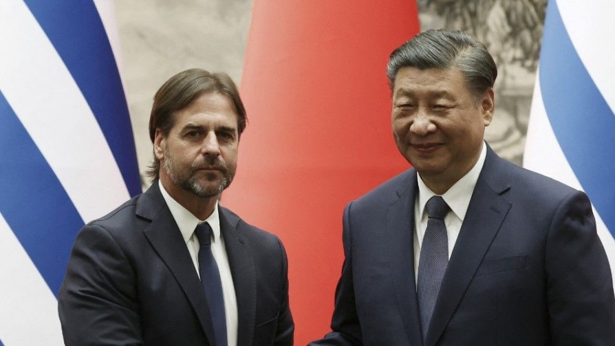 Tres Toros Uruguayos Viajan A China Como Regalo A Xi Jinping Tres Toros Uruguayos Viajan A China Como Regalo A Xi Jinping