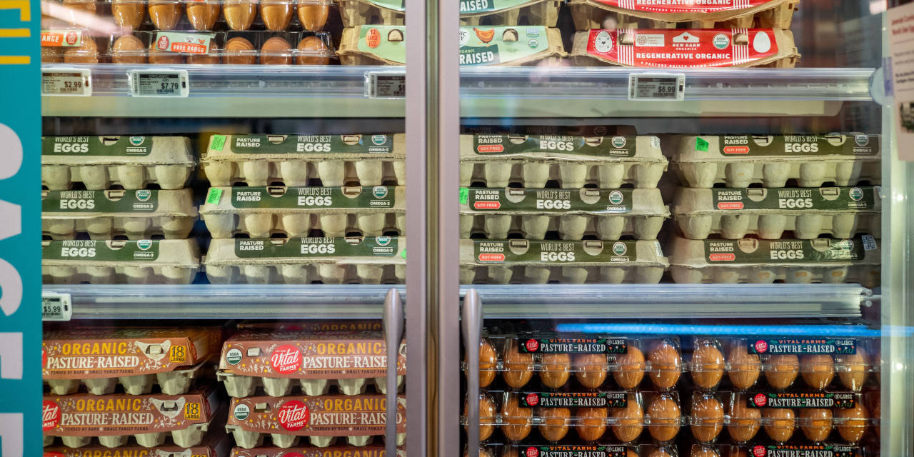 U.S. Egg Prices Drop To $5 A Dozen – Relief For Consumers U.S. Egg Prices Drop To $5 A Dozen – Relief For Consumers