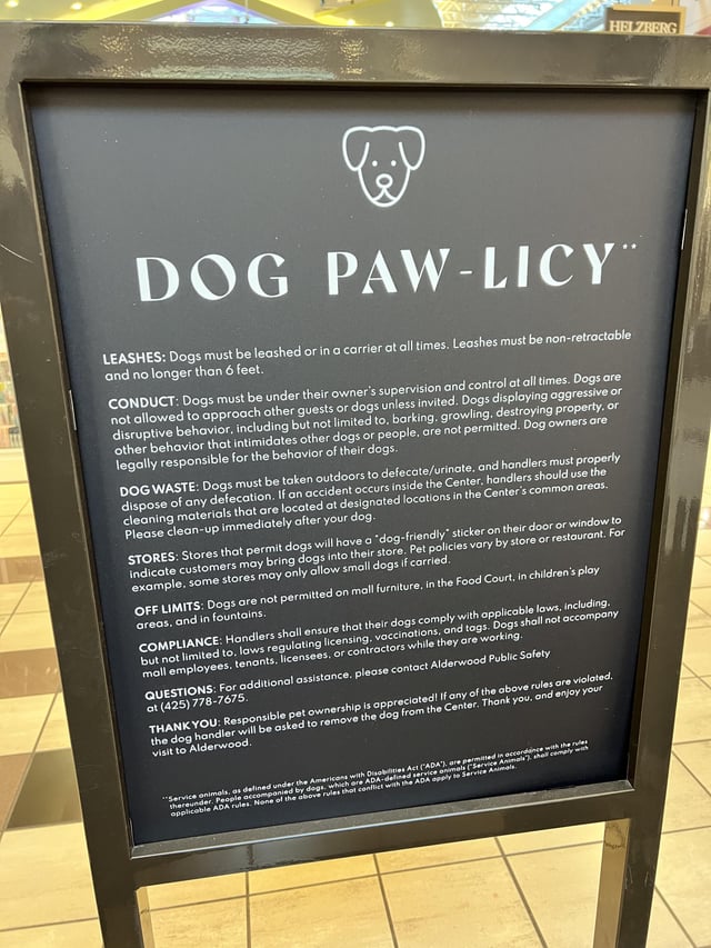 Uber's New Pet Policy In Mumbai: How To Book A Ride With Your Furry Friend Uber's New Pet Policy In Mumbai: How To Book A Ride With Your Furry Friend