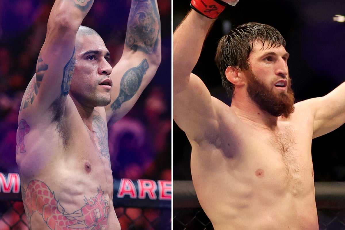 UFC 313 Livestream: Pereira Vs Ankalaev Fight Online UFC 313 Livestream: Pereira Vs Ankalaev Fight Online