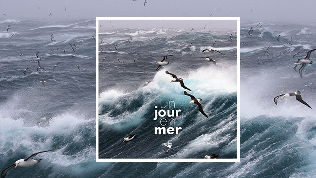 Un Jour En Mer : Expériences Et Conseils Pour Naviguer Un Jour En Mer : Expériences Et Conseils Pour Naviguer