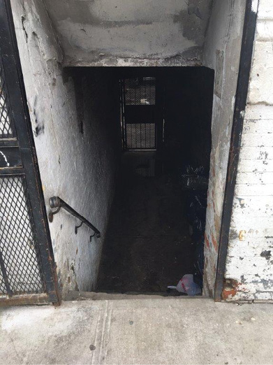 Unexpected Basement Find Baffles Plumber During House Call Unexpected Basement Find Baffles Plumber During House Call
