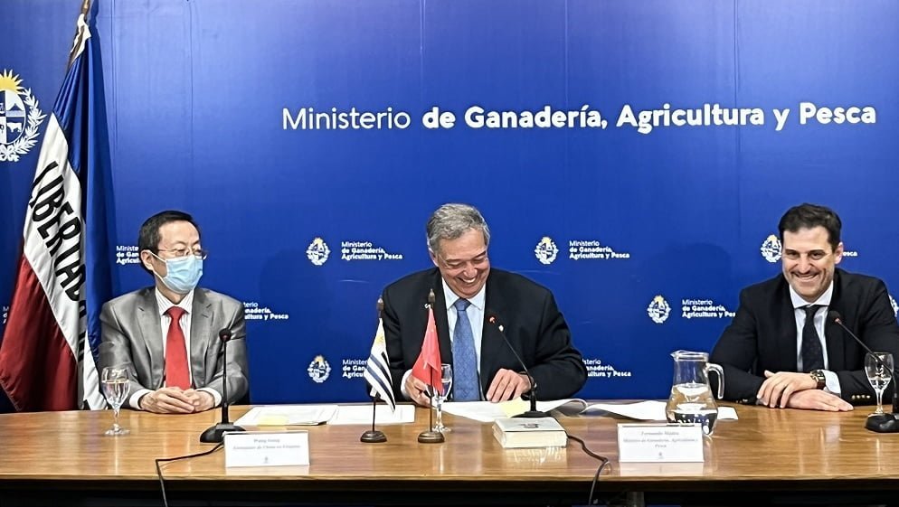 Uruguay Apuesta Por Regalo Estratégico Para Mejorar Exportaciones Ganaderas A China Uruguay Apuesta Por Regalo Estratégico Para Mejorar Exportaciones Ganaderas A China
