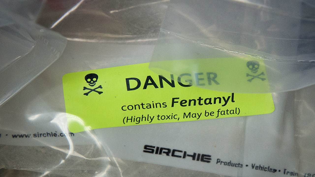 US Sees Largest Fentanyl Seizure Ever, Led By Pam Bondi US Sees Largest Fentanyl Seizure Ever, Led By Pam Bondi