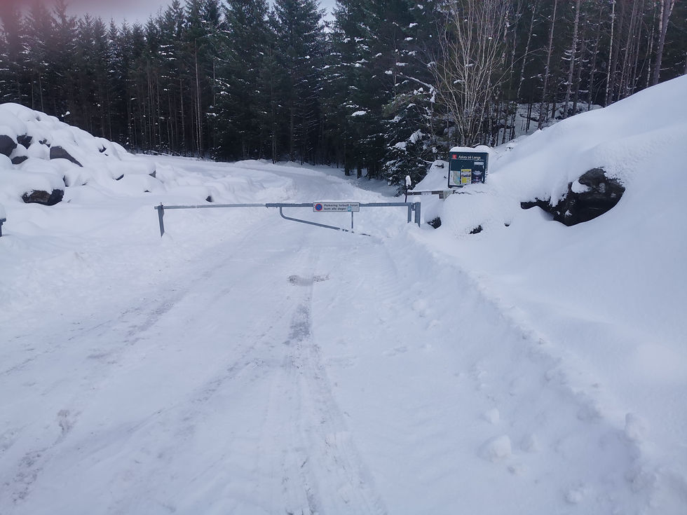 Værvarsel Og Badetemperatur: Finn Perfekte Forhold For Sjøbading Værvarsel Og Badetemperatur: Finn Perfekte Forhold For Sjøbading
