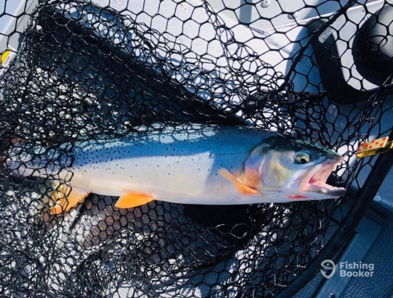 Volunteer For Wyoming's Guided Fishing Advisory Board Volunteer For Wyoming's Guided Fishing Advisory Board