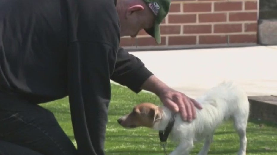 Washington County Breeder's License Revoked Following Seizure Of 49 Dogs Washington County Breeder's License Revoked Following Seizure Of 49 Dogs