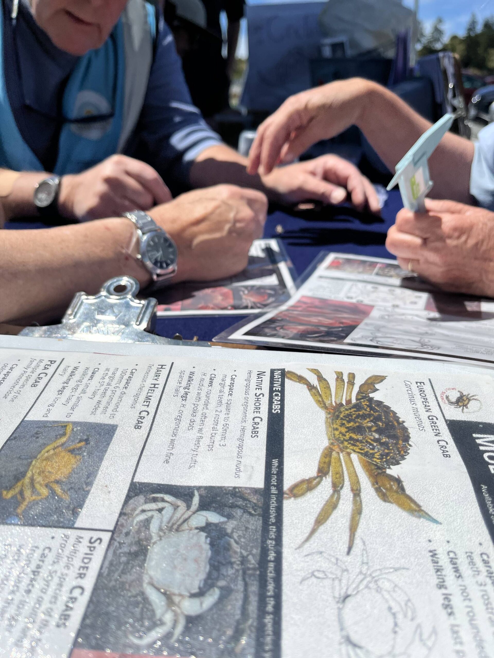 Whidbey Clam Research: Citizen Scientists Contribute To Discovery Whidbey Clam Research: Citizen Scientists Contribute To Discovery
