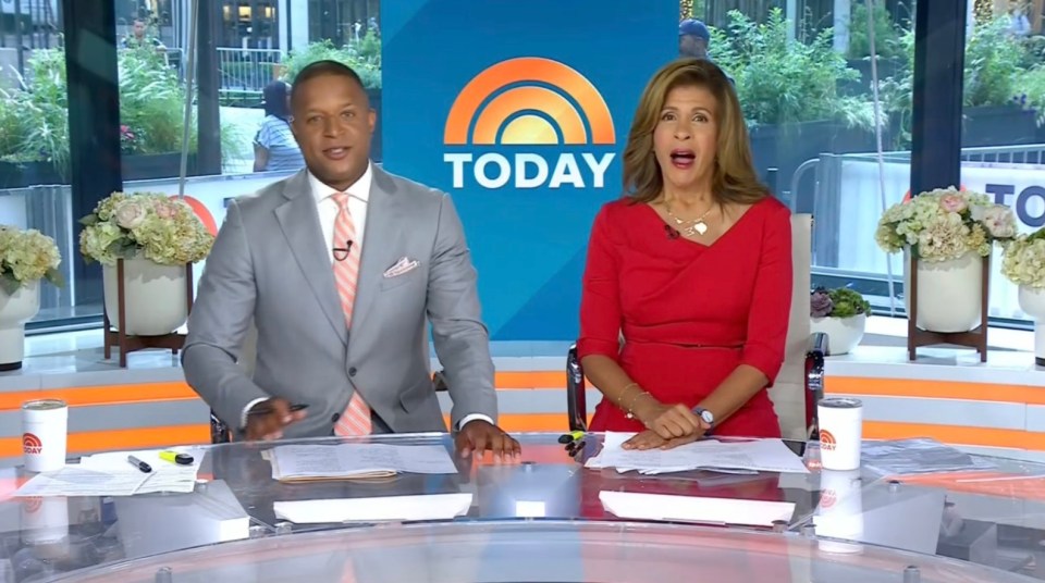 Who Replaced Savannah Guthrie On Today? This Week's Lineup Who Replaced Savannah Guthrie On Today? This Week's Lineup