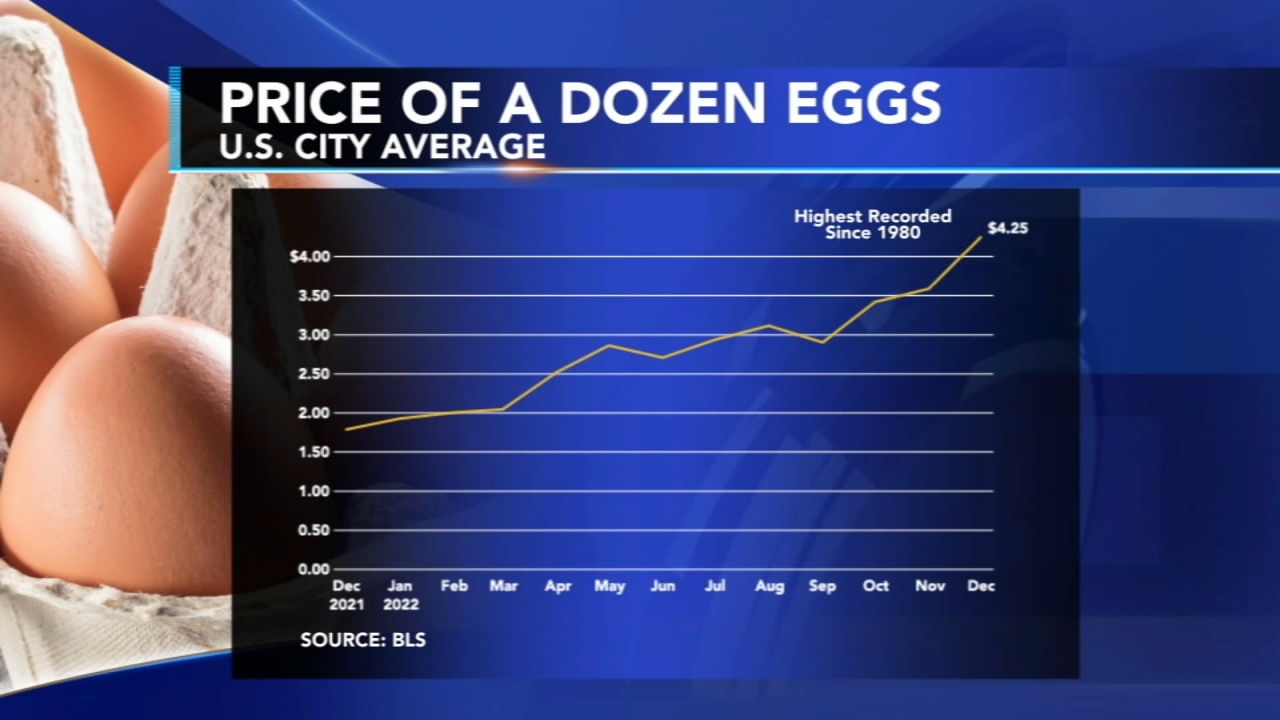 Why Are Egg Prices Down To $5 A Dozen In The U.S.? Why Are Egg Prices Down To $5 A Dozen In The U.S.?