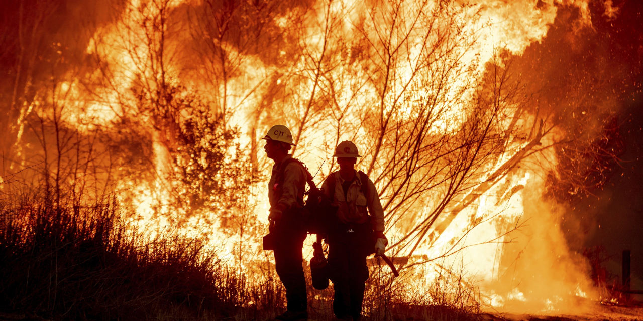 Wildfire Betting: A Commentary On Modern Society's Values Wildfire Betting: A Commentary On Modern Society's Values