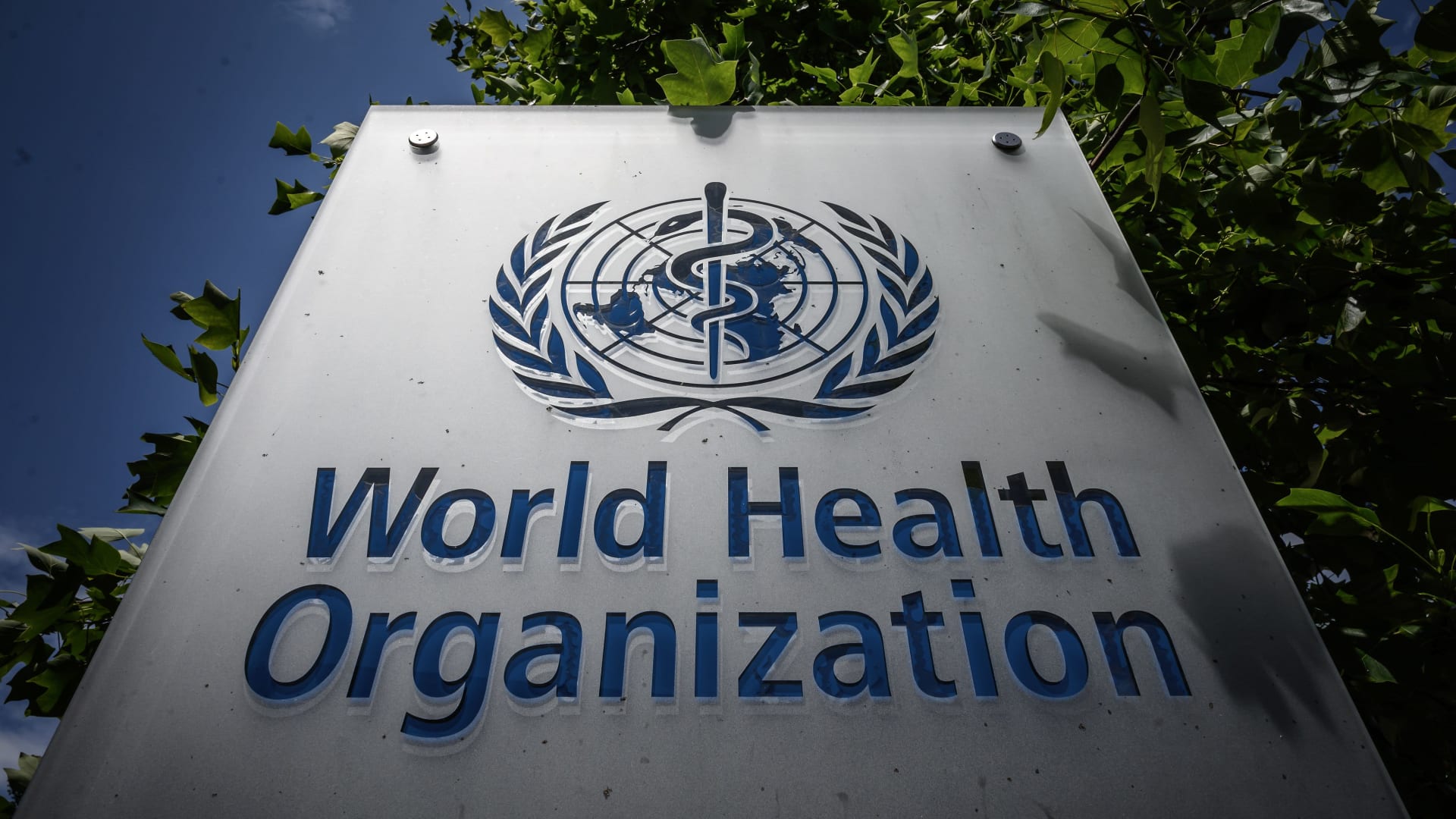 World Health Organization Reports Increase In COVID-19 Cases Due To New Variant World Health Organization Reports Increase In COVID-19 Cases Due To New Variant