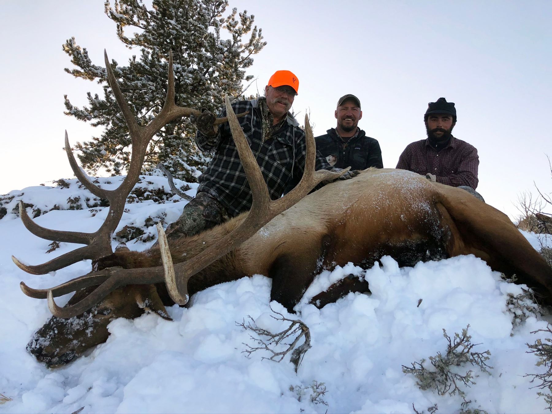 Wyoming Game And Fish Regains Otter Management Authority Wyoming Game And Fish Regains Otter Management Authority