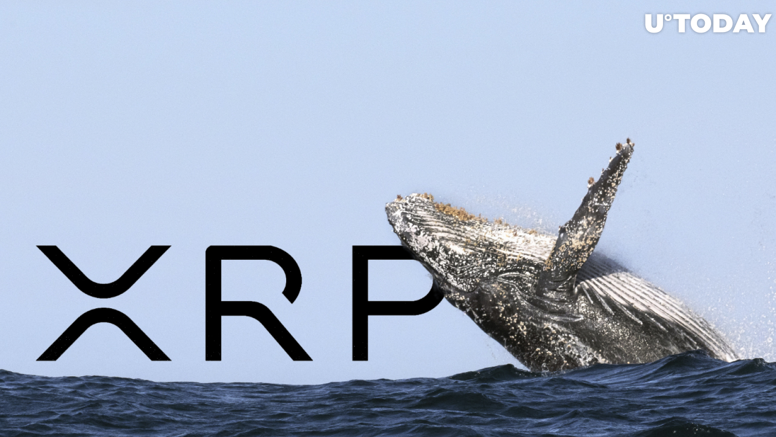 XRP Whale Acquires 20 Million Tokens: Signals Strong Market Confidence XRP Whale Acquires 20 Million Tokens: Signals Strong Market Confidence
