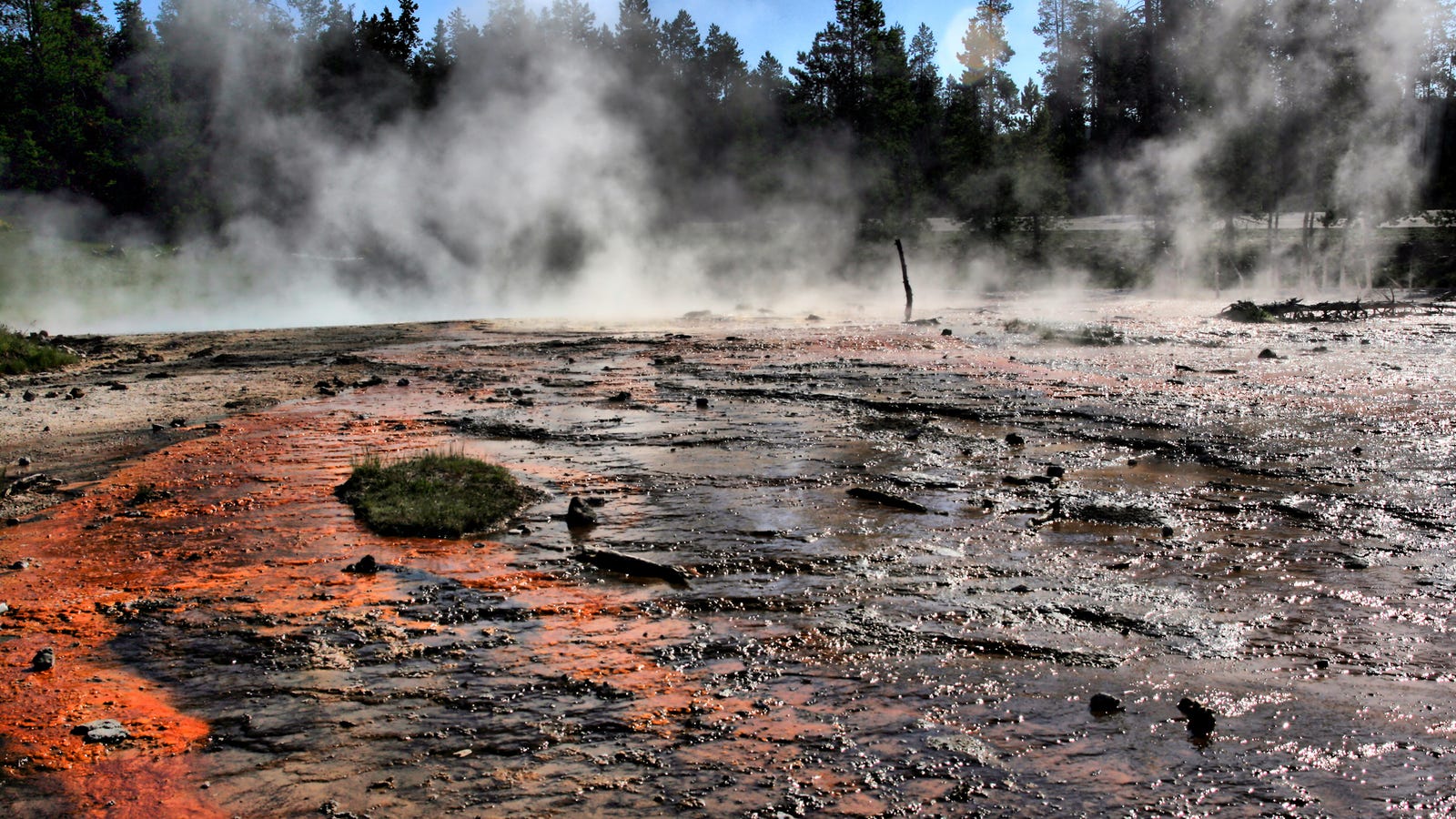 Yellowstone's Volcanic Future: Insights From Its Magma Reservoir Yellowstone's Volcanic Future: Insights From Its Magma Reservoir